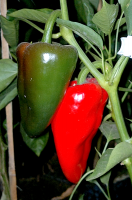 post-37242-0-03451200-1420562414_thumb.p