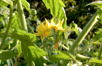 post-37242-0-60159600-1420562846_thumb.p