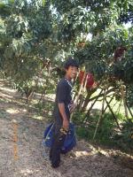 post-87221-0-12316400-1422426685_thumb.j