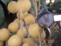 post-87221-0-27924000-1422426045_thumb.j