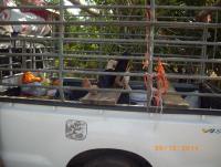 post-87221-0-31299800-1422426651_thumb.j