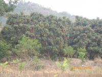 post-87221-0-47138200-1422426024_thumb.j