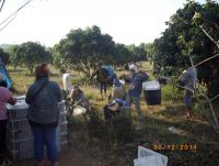 post-87221-0-68598300-1422426458_thumb.j