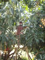 post-87221-0-70798100-1422426700_thumb.j