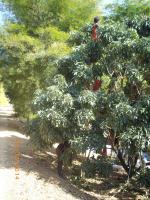 post-87221-0-77498000-1422426673_thumb.j