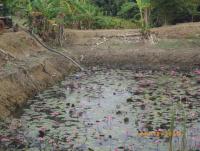 post-87221-0-79049800-1422425728_thumb.j