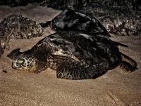 post-93078-0-82641500-1420471036_thumb.j