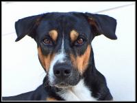 post-9958-0-35753600-1420716020_thumb.jp