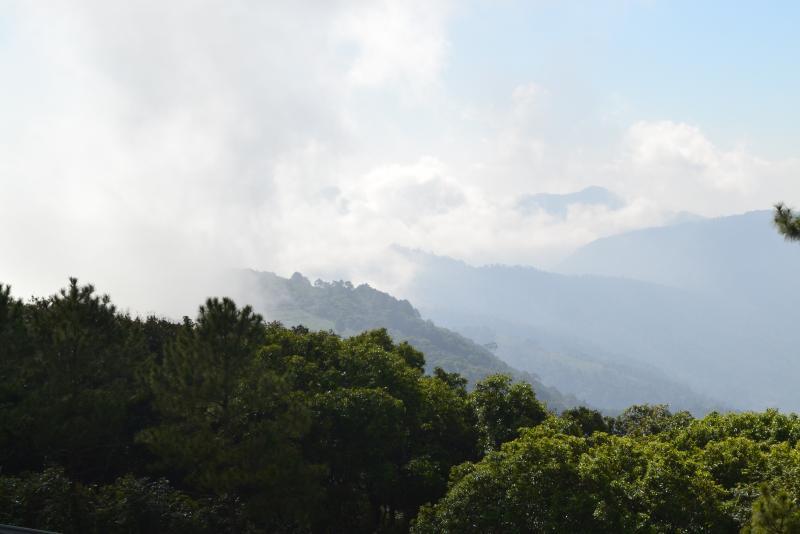 post-112020-0-07855400-1453687711_thumb.