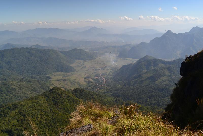 post-112020-0-07878200-1453689141_thumb.