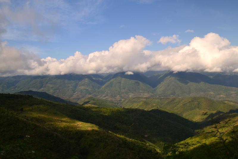 post-112020-0-08307700-1453692391_thumb.