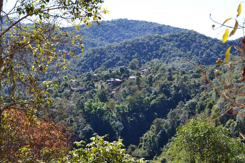 post-112020-0-22227300-1453631730_thumb.