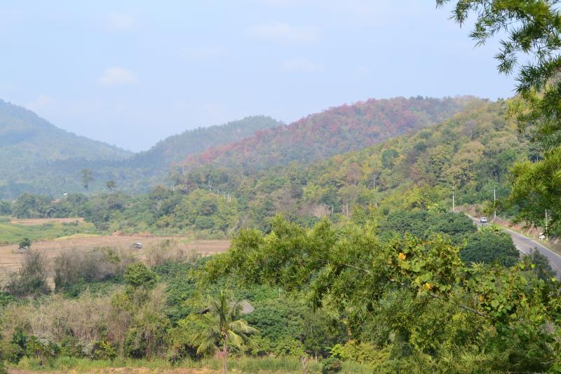 post-112020-0-26244800-1453686254_thumb.