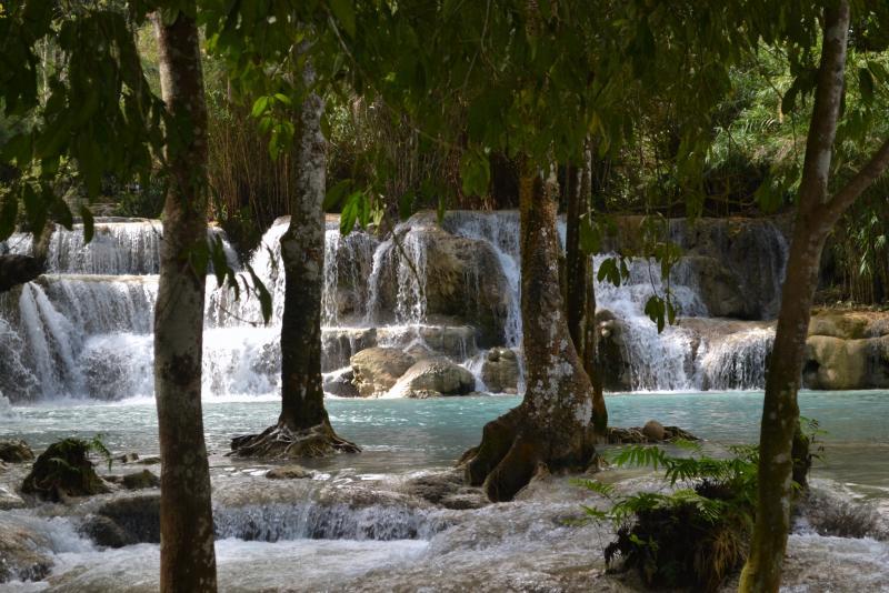 post-112020-0-30284000-1453691571_thumb.