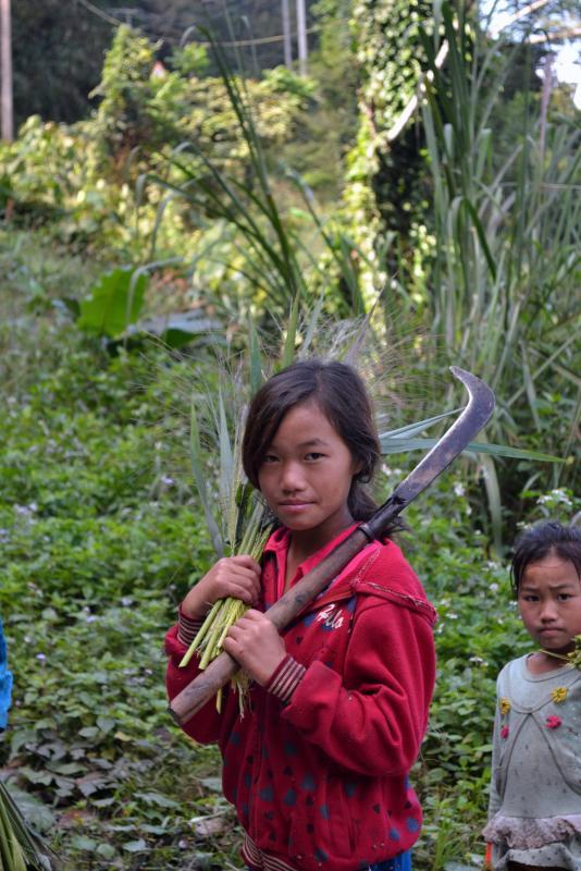 post-112020-0-45324400-1453692547_thumb.