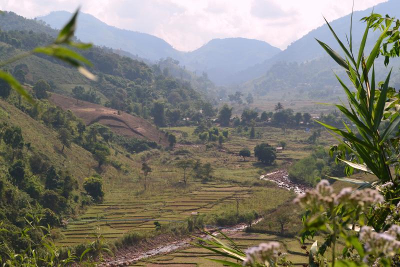 post-112020-0-54835700-1453690542_thumb.