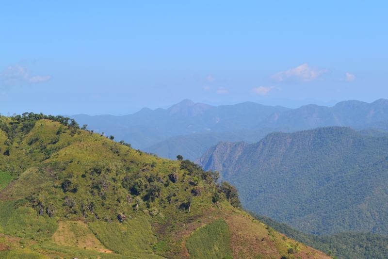 post-112020-0-64296500-1453632826_thumb.