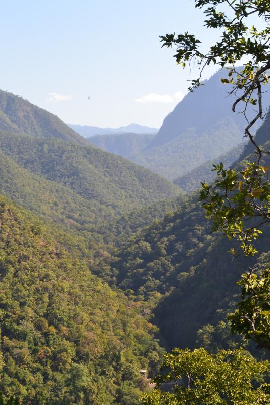 post-112020-0-66469400-1453632568_thumb.