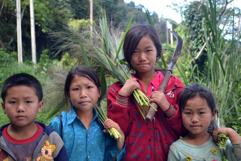 post-112020-0-66834600-1453692469_thumb.