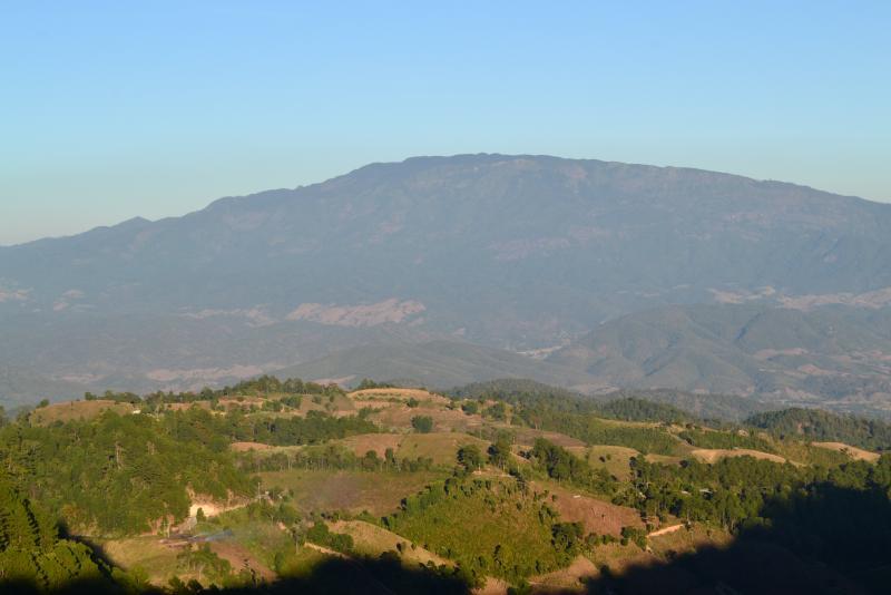 post-112020-0-83700100-1453632059_thumb.