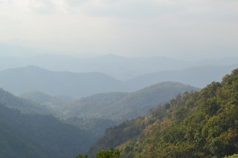 post-112020-0-89355100-1453685422_thumb.