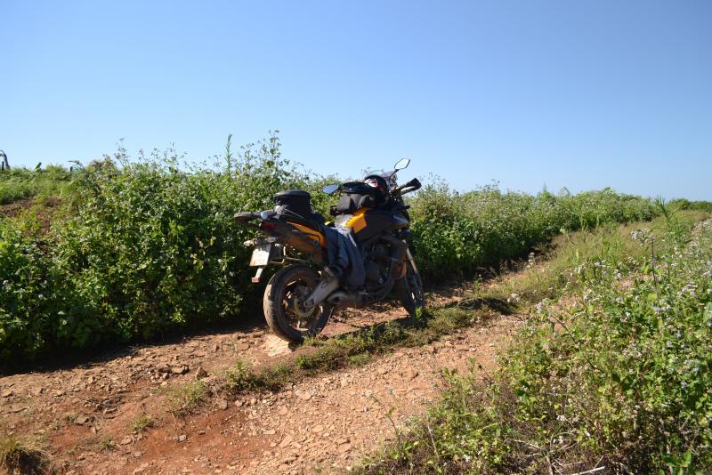 post-112020-0-89612200-1453632672_thumb.