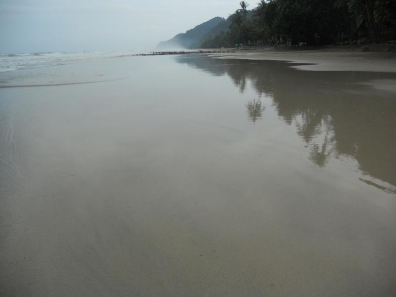 post-118955-0-75453800-1452026502_thumb.