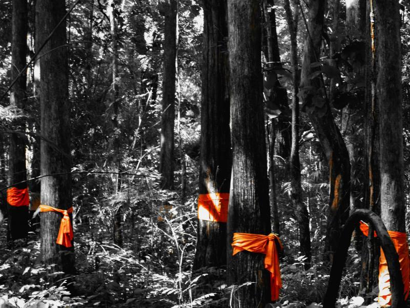 post-119985-0-67402000-1453094054_thumb.