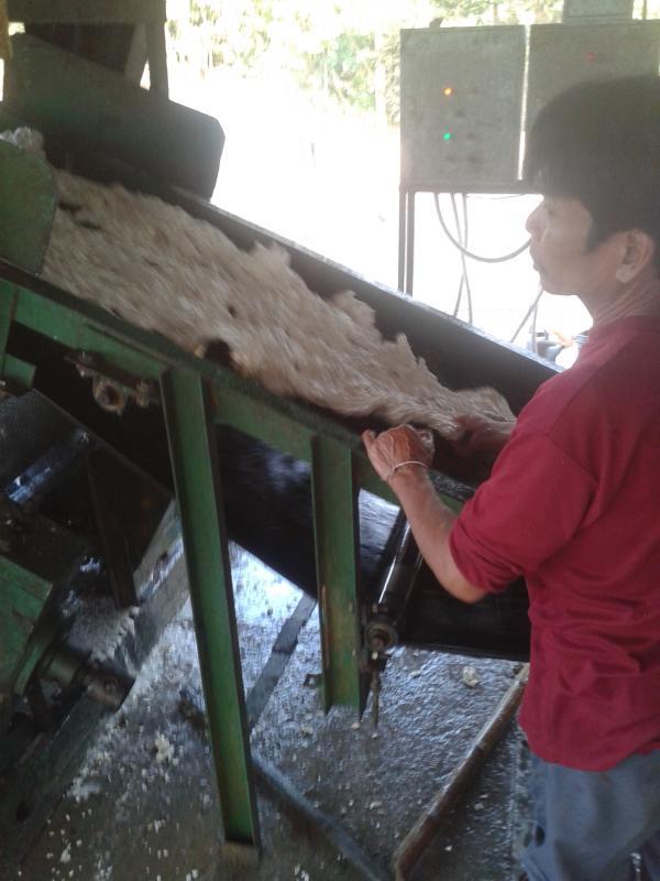 post-139129-0-08130600-1453436068_thumb.