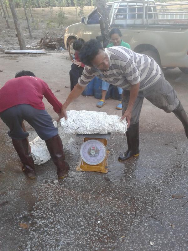 post-139129-0-24780700-1453436166_thumb.