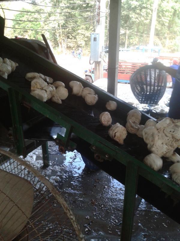 post-139129-0-54200200-1453436018_thumb.