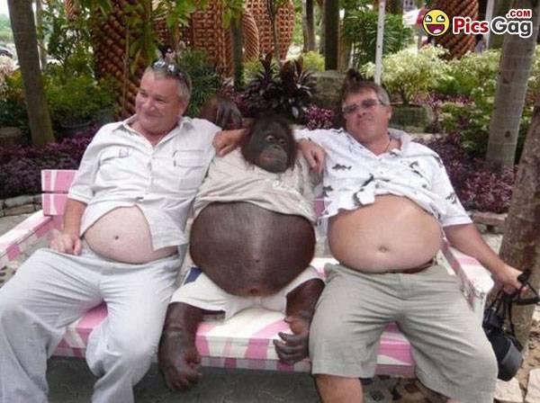 post-147205-0-32326300-1452838148_thumb.