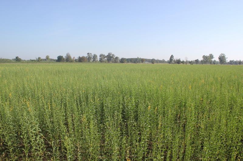 post-172655-0-34489700-1452009351_thumb.