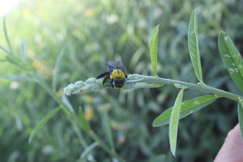 post-172655-0-90292700-1452009653_thumb.