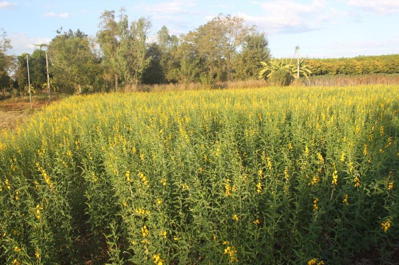 post-172655-0-94226100-1452009314_thumb.