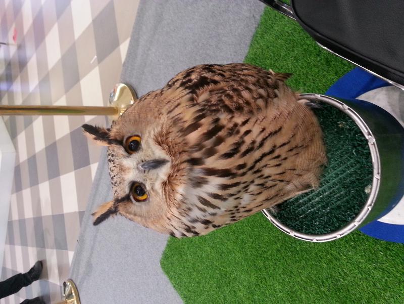 post-19652-0-82967500-1453386177_thumb.j