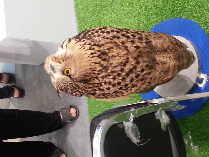 post-19652-0-89229800-1453203269_thumb.j