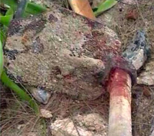 post-206952-0-01748700-1451825142_thumb.