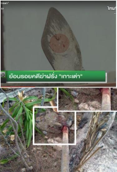 post-206952-0-23519300-1453221311_thumb.