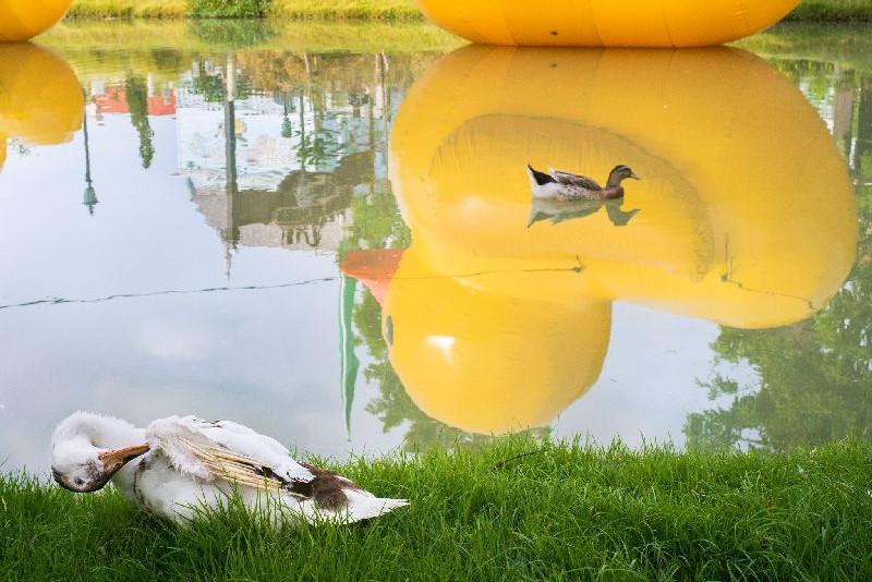 post-208463-0-34825700-1452667368_thumb.