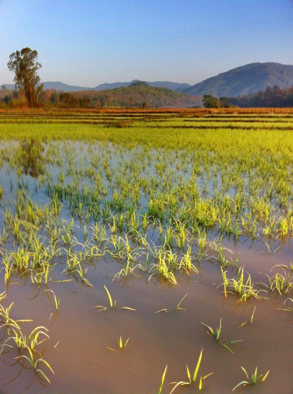 post-213801-0-78030800-1454214845_thumb.