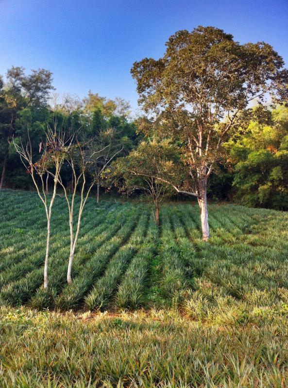 post-213801-0-98463100-1454214573_thumb.