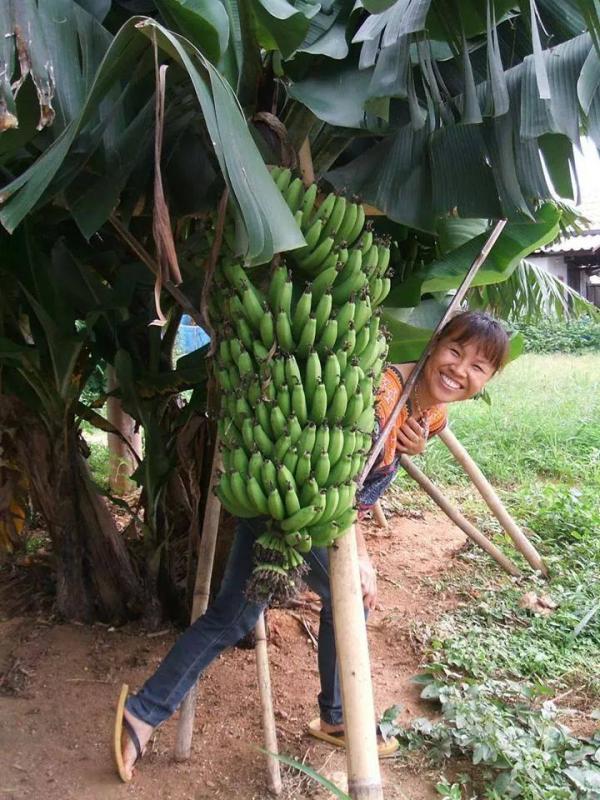 post-216250-0-28880800-1453647989_thumb.