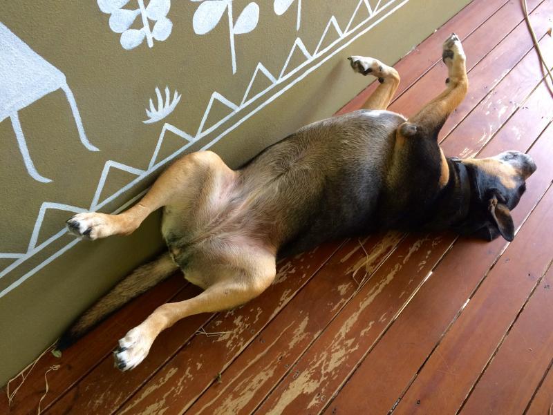 post-220226-0-33859000-1453095358_thumb.