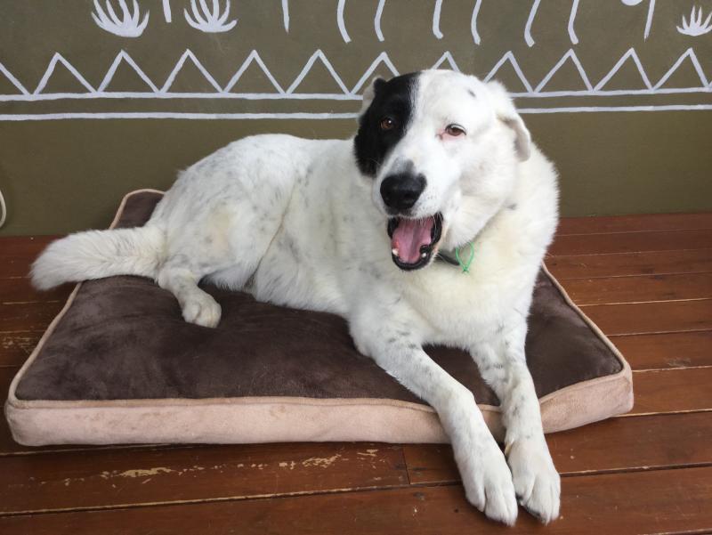 post-220226-0-84572700-1453084785_thumb.