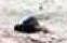post-222787-0-93428100-1451841481_thumb.