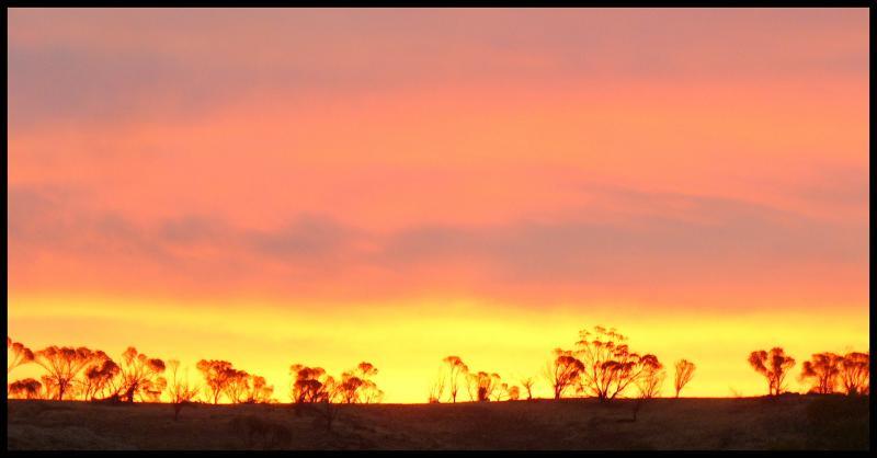 post-231841-0-26103800-1452166610_thumb.