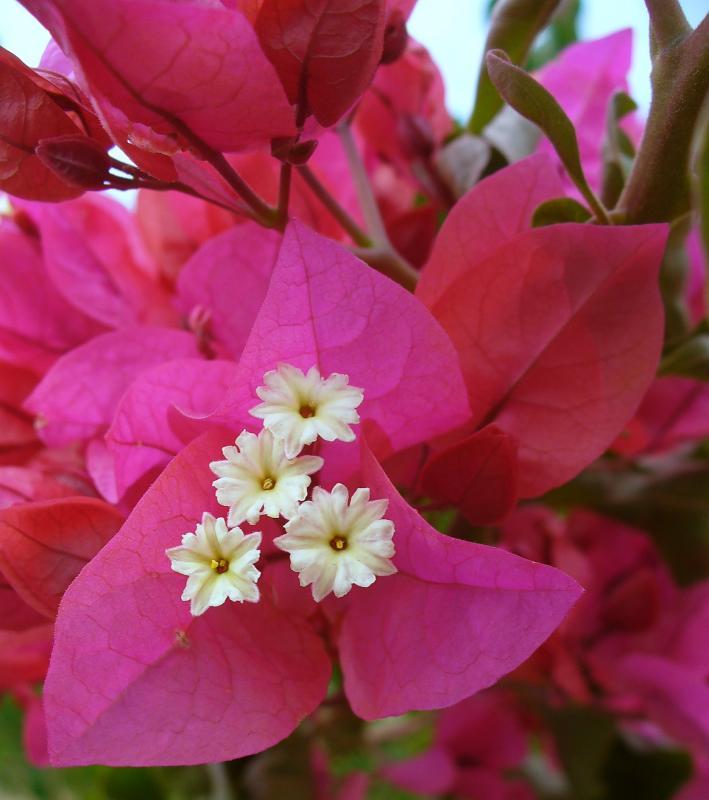 post-231841-0-28521500-1452675569_thumb.