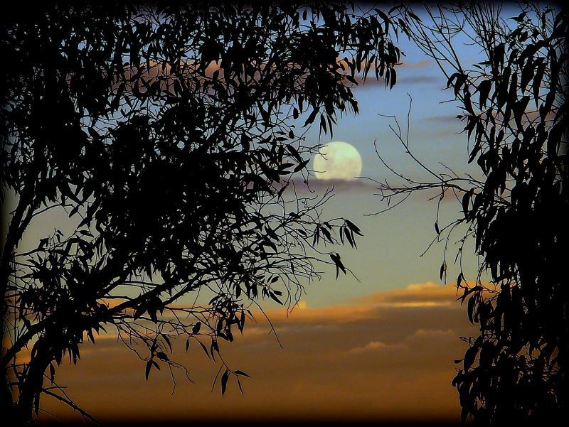 post-231841-0-32230900-1453557207_thumb.