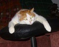 post-231841-0-33036200-1453199026_thumb.